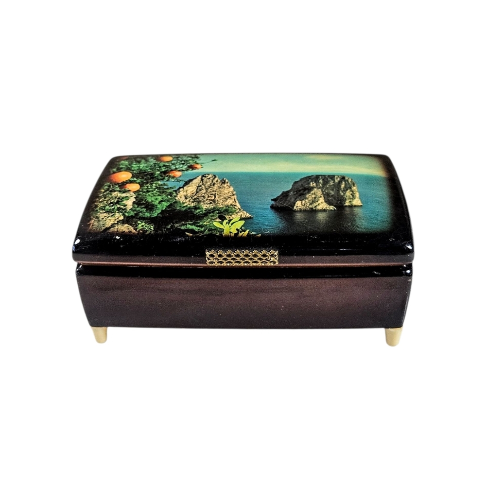 Vintage Black Lacquer Grotto  Tropical Nautical Theme music box Lara's Theme